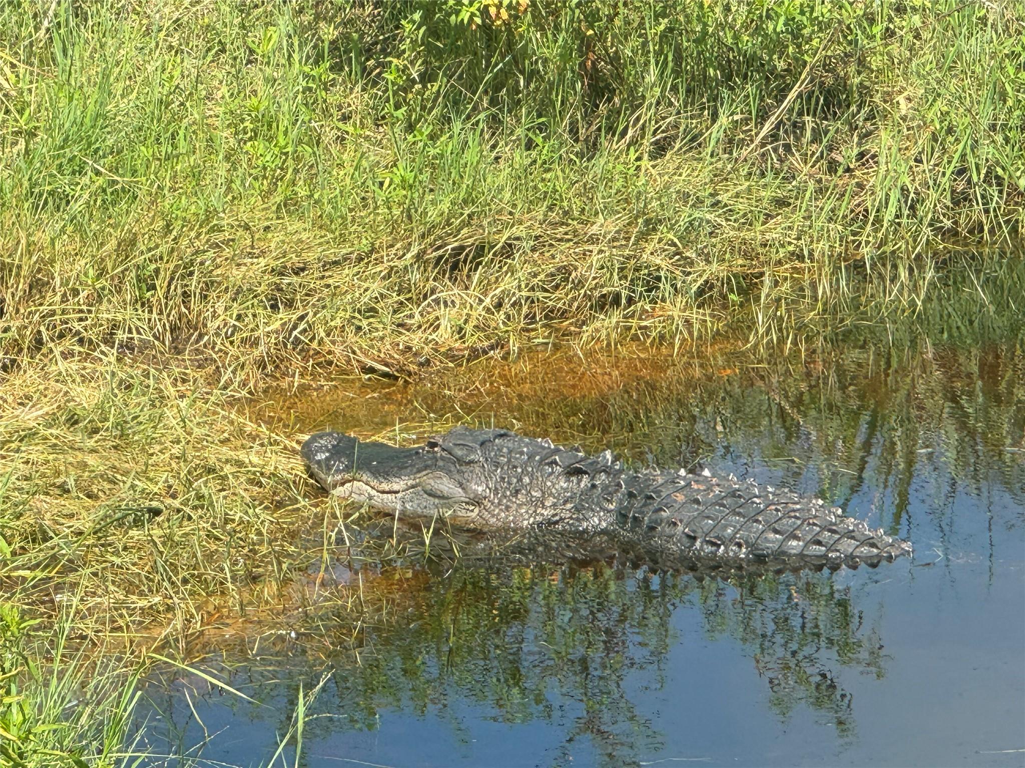 tbd Tbd Cr 832, Clewiston, FL 33440