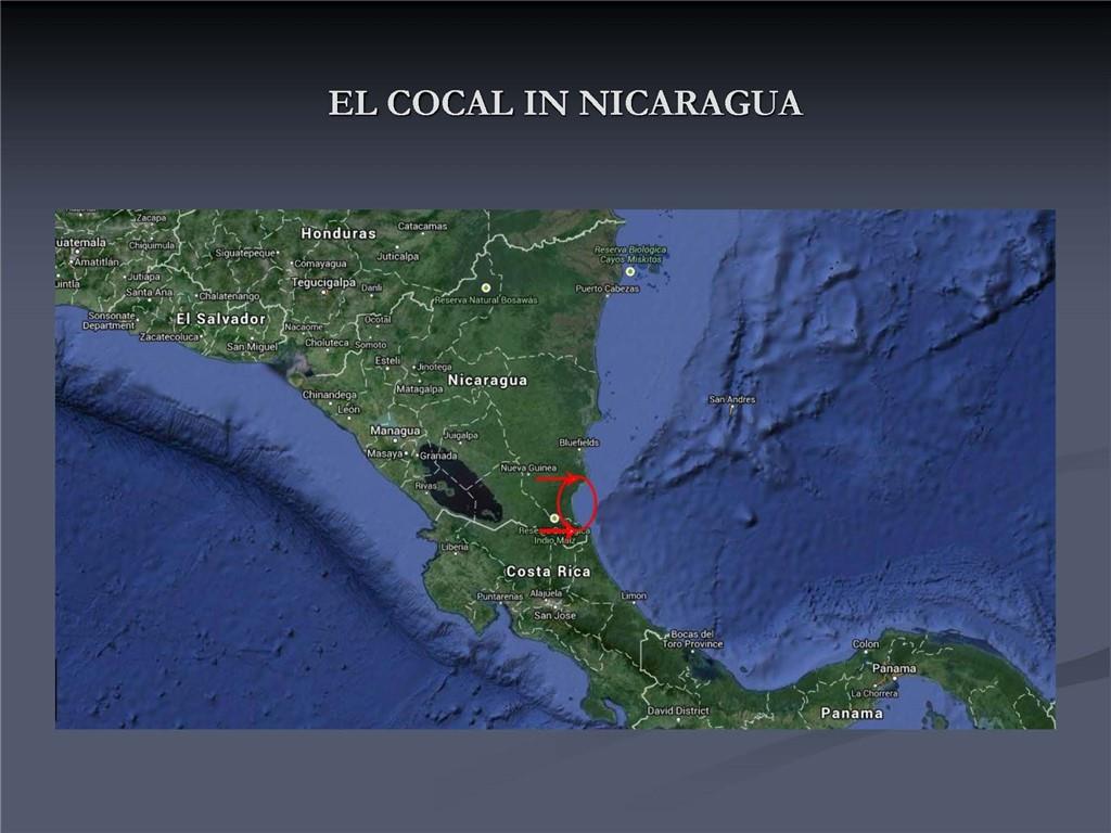 1001 Indian River, Other Fl City,