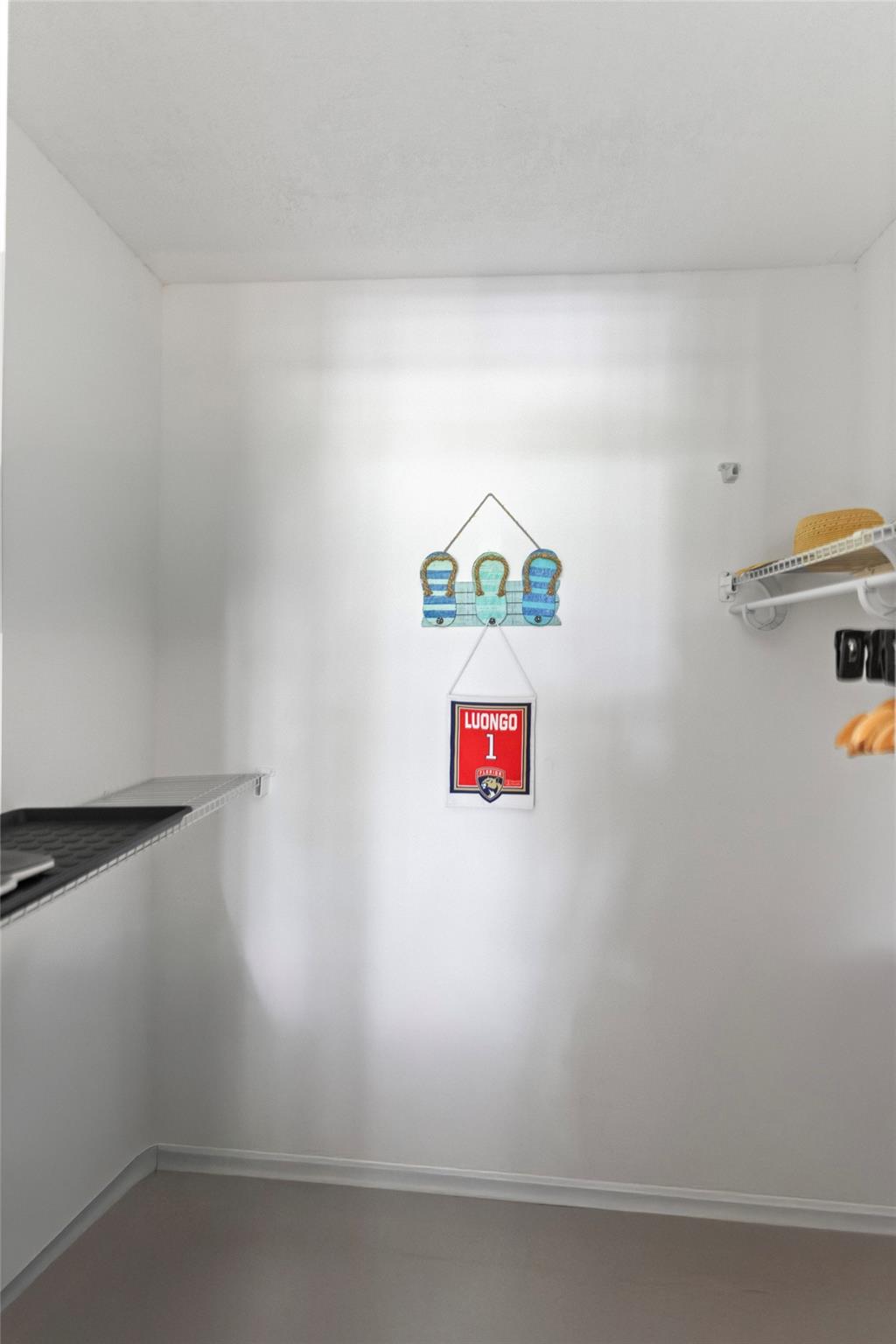 Guest Walk in Closet