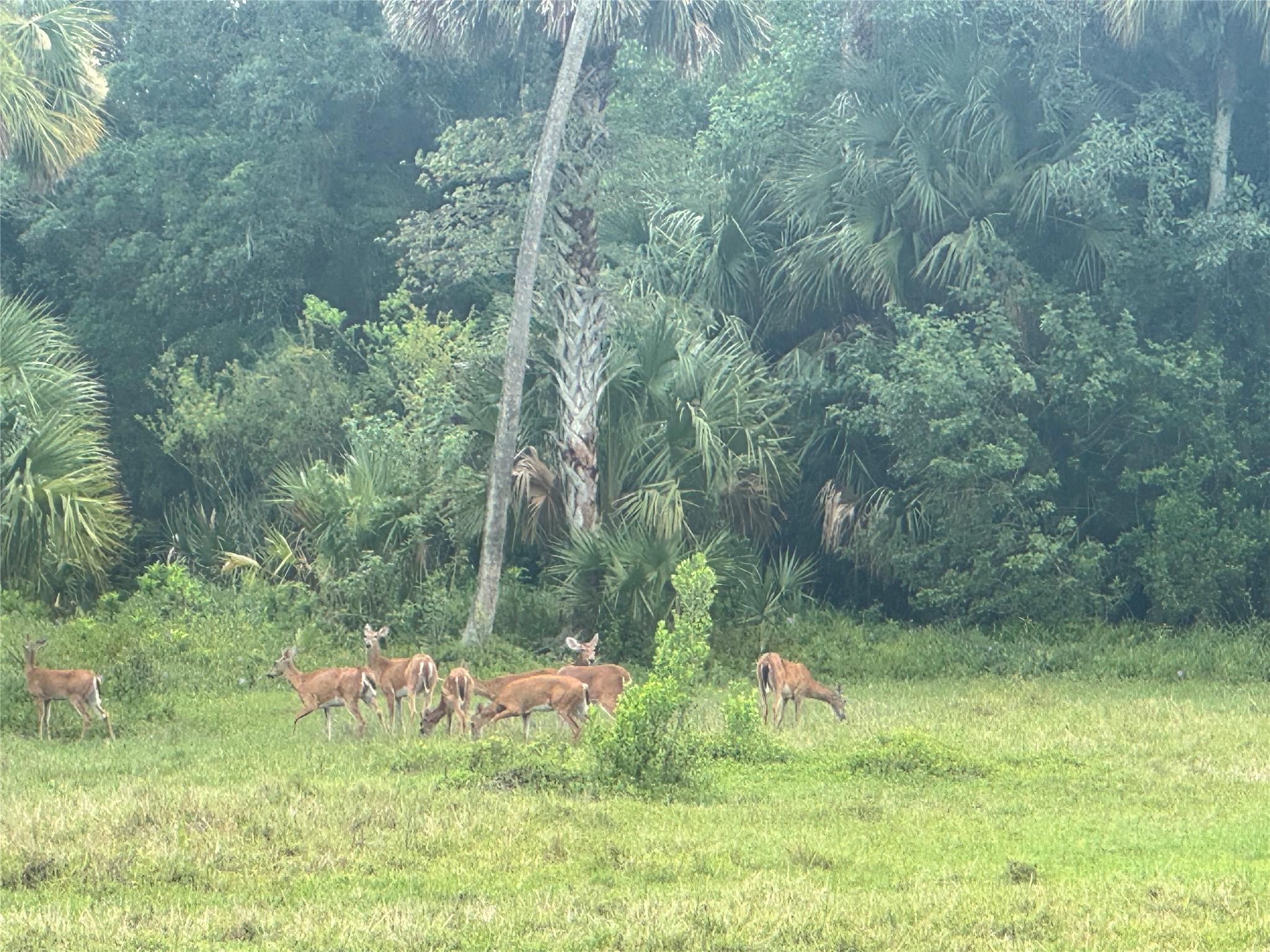 tbd Tbd Cr 832, Clewiston, FL 33440