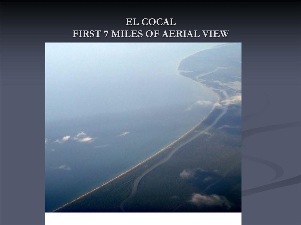 1001 Indian River, Other Fl City,