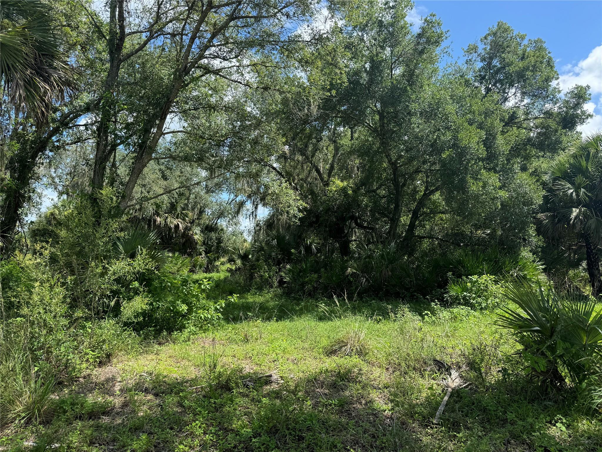 tbd Tbd Cr 832, Clewiston, FL 33440