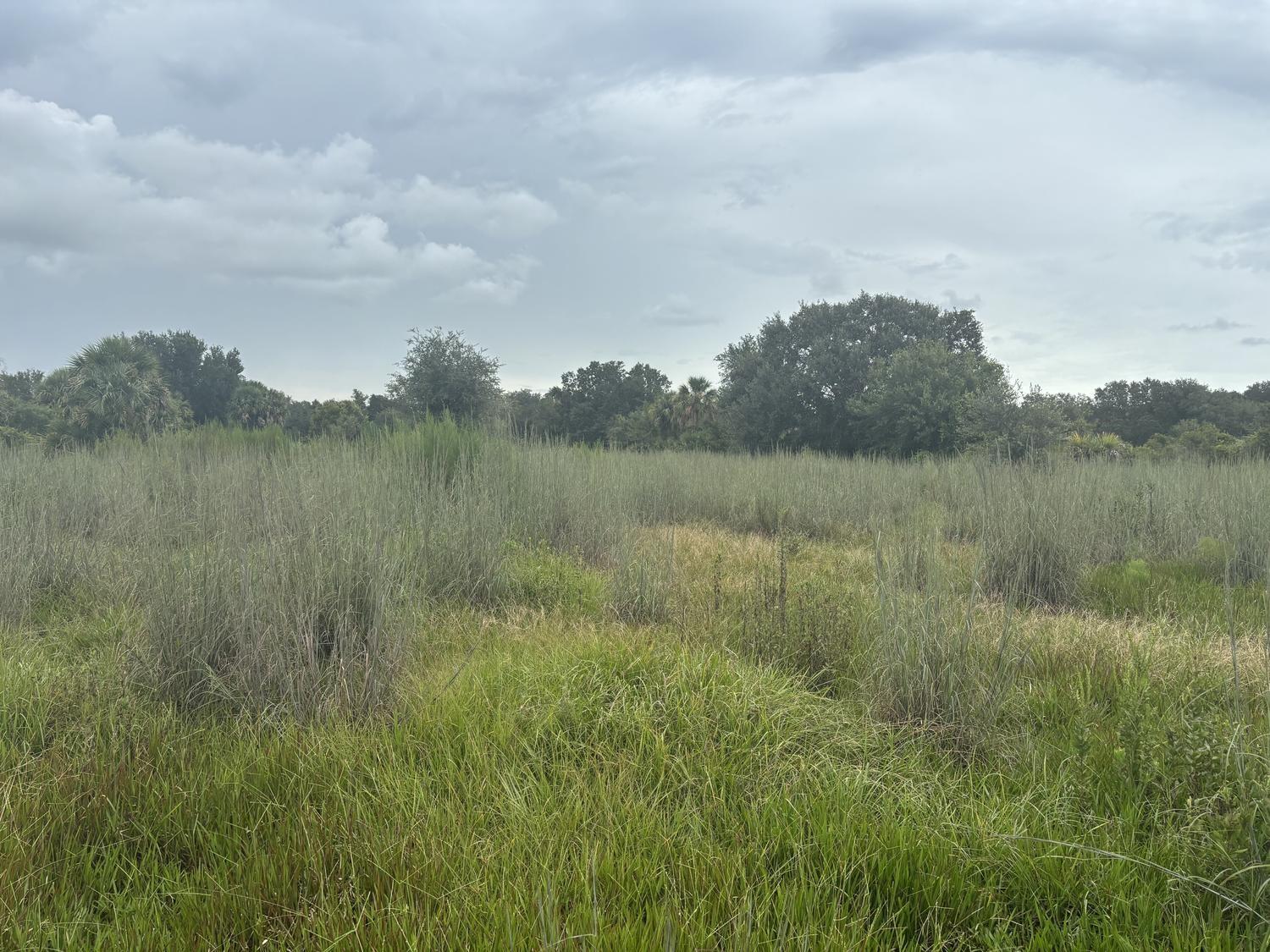 Photo for 0 NW 294th Street, Okeechobee, FL 34972 - listing #FX-10534476 0 NW 294th Street, Okeechobee, FL 34972