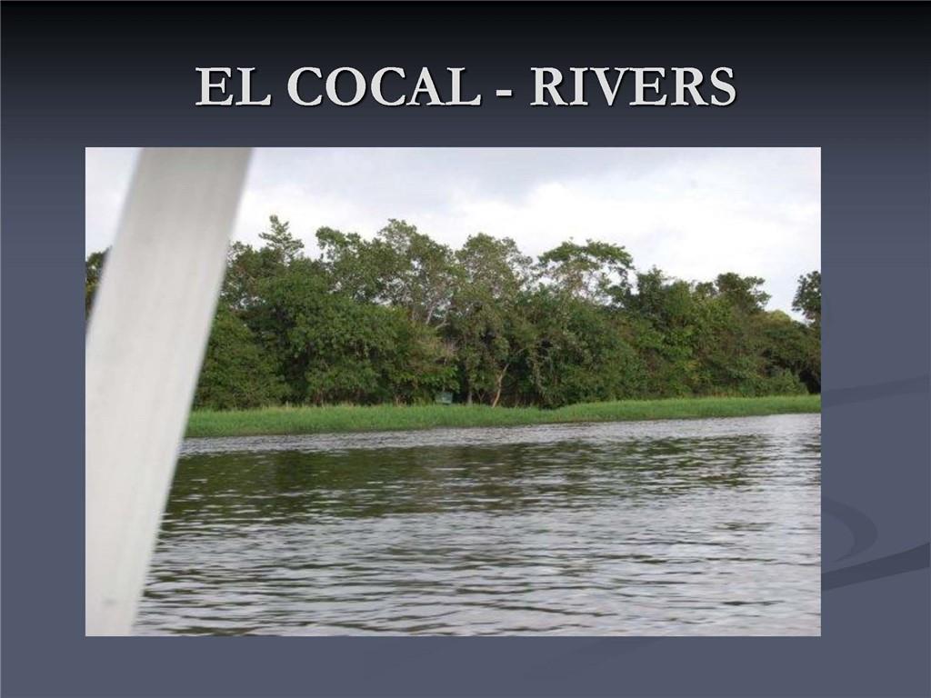 1001 Indian River, Other Fl City,