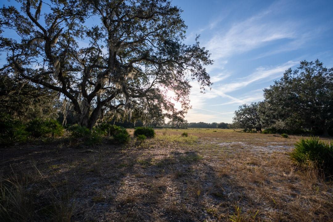 0 Lake Hatcheneha, Haines City, FL 33844