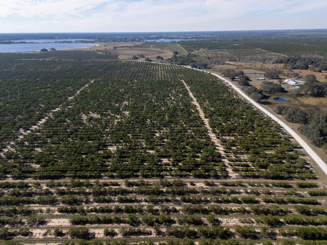 3073 Cr 627, Avon Park, FL 33825