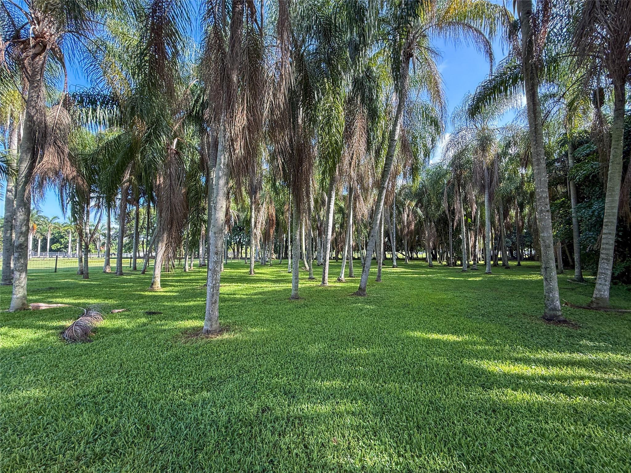 Photo for 14431 Mustang Trail, Southwest Ranches, FL 33330 - Listing #FX-10512709 14431 Mustang Trail, Southwest Ranches, FL 33330