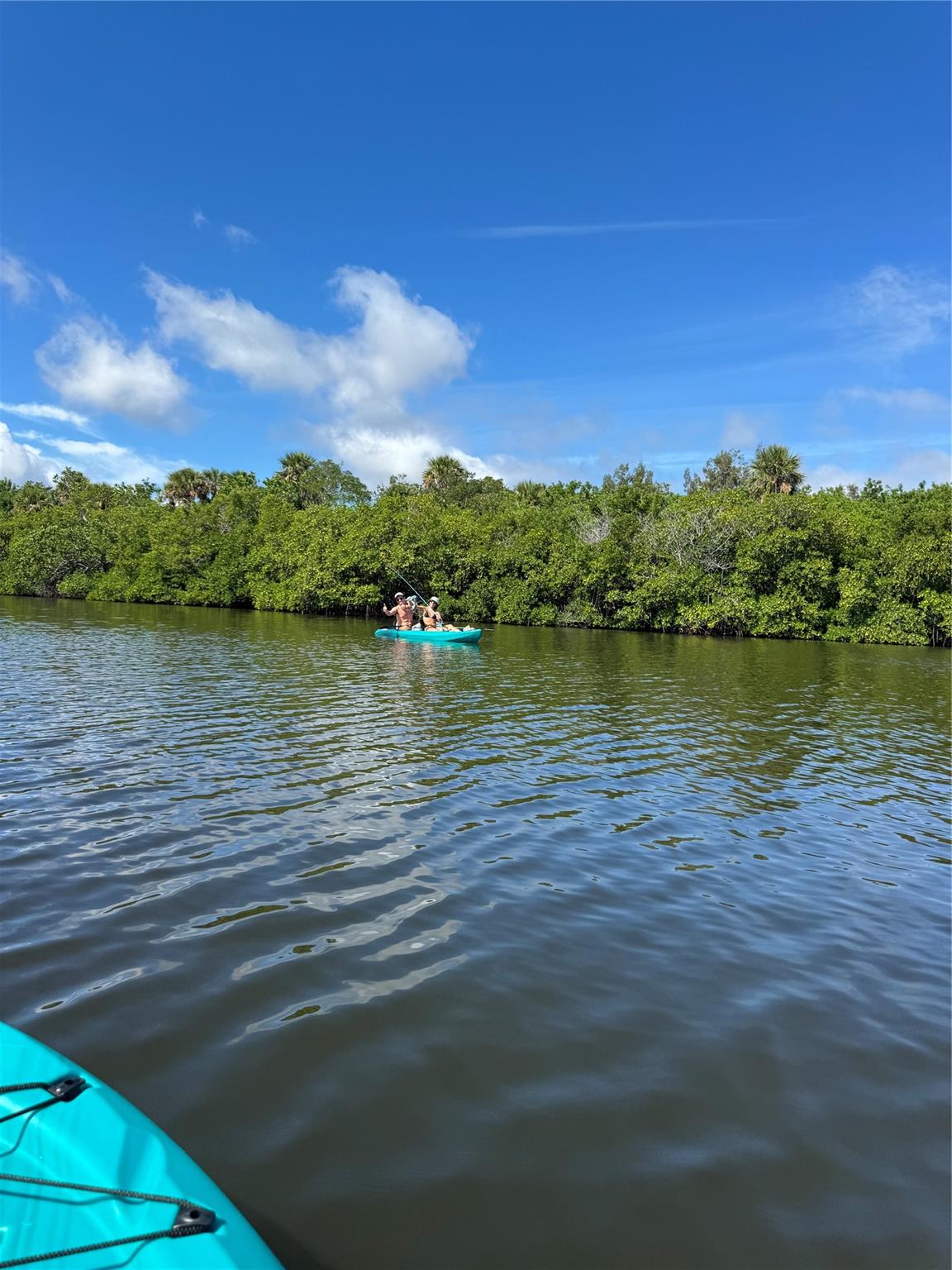 Kayaking/ canoeing/ jet skiing