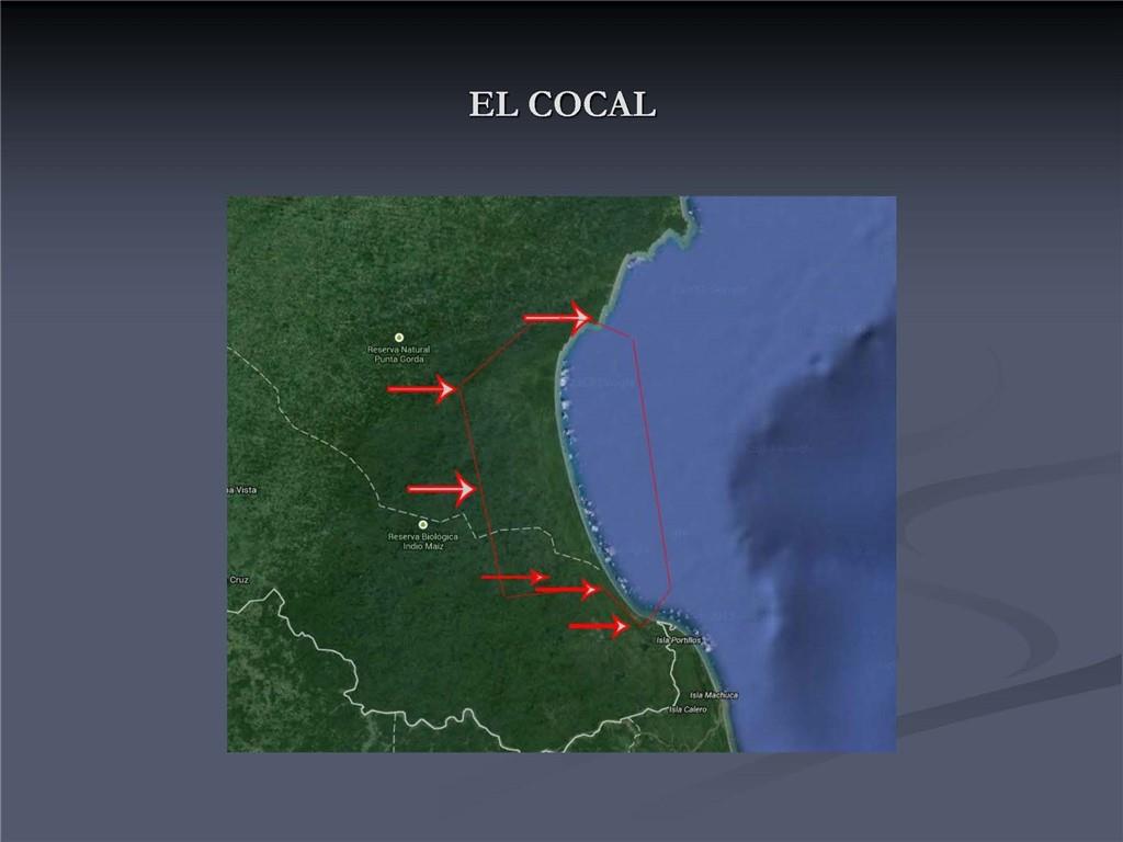 1001 Indian River, Other Fl City,