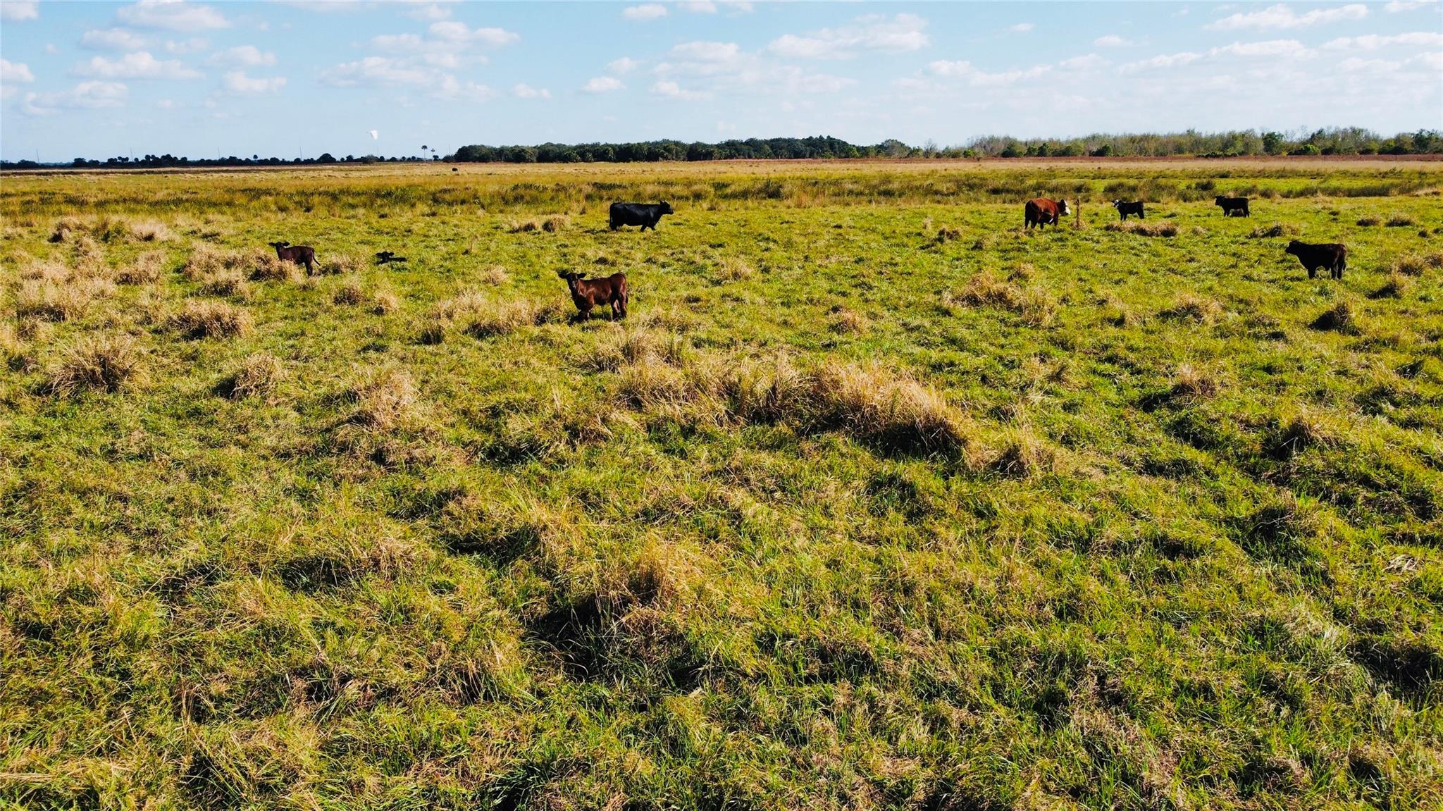 HWY 441N Highway 441n Highway 441, Okeechobee, FL 34972