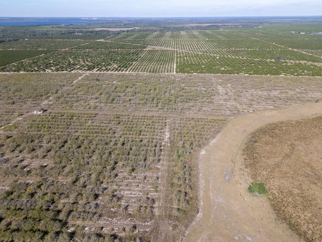 3073 Cr 627, Avon Park, FL 33825