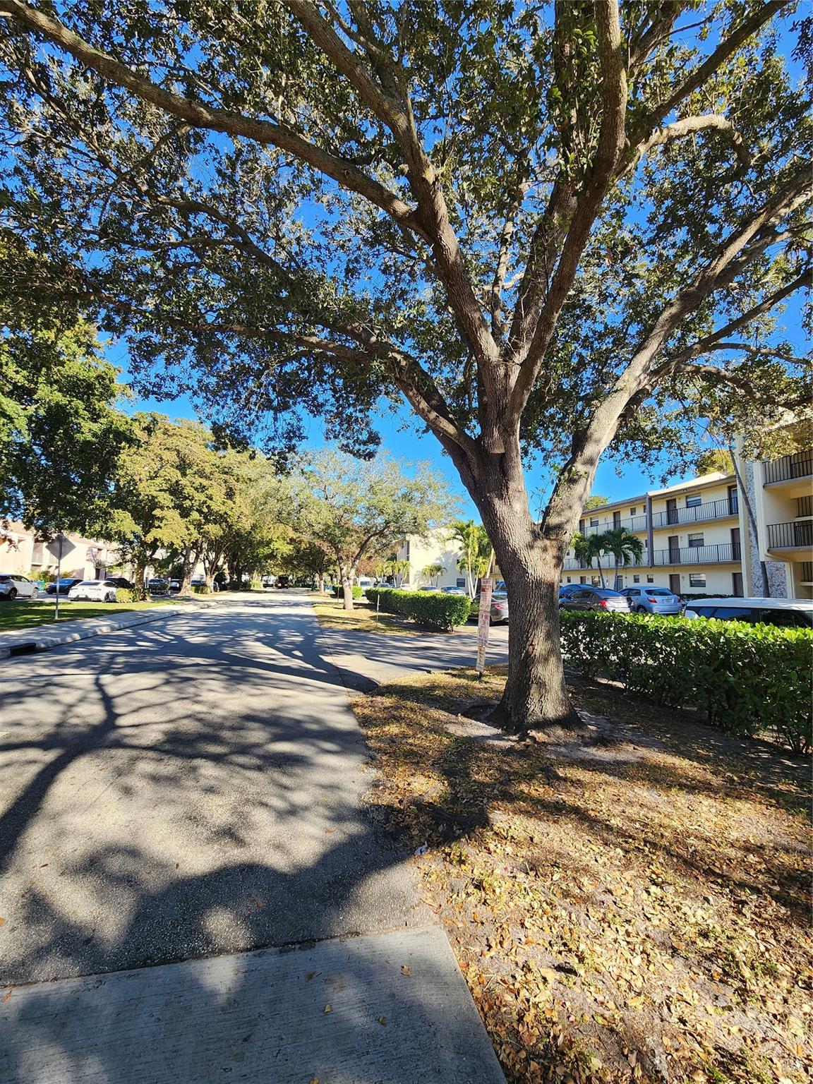 9150 NW 38th Drive 106, Coral Springs, FL 33065