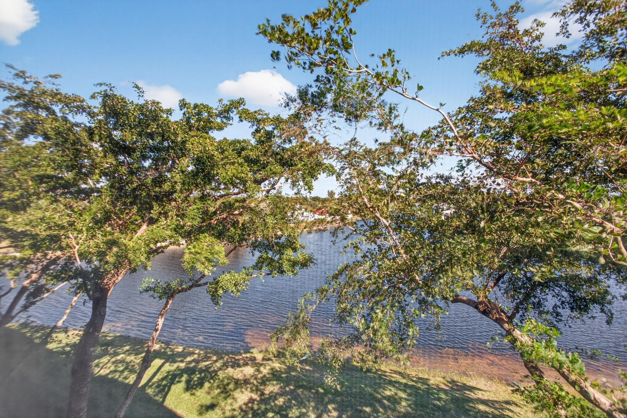 View from primary bedroom