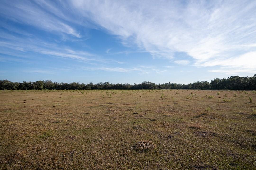 0 Lake Hatcheneha, Haines City, FL 33844