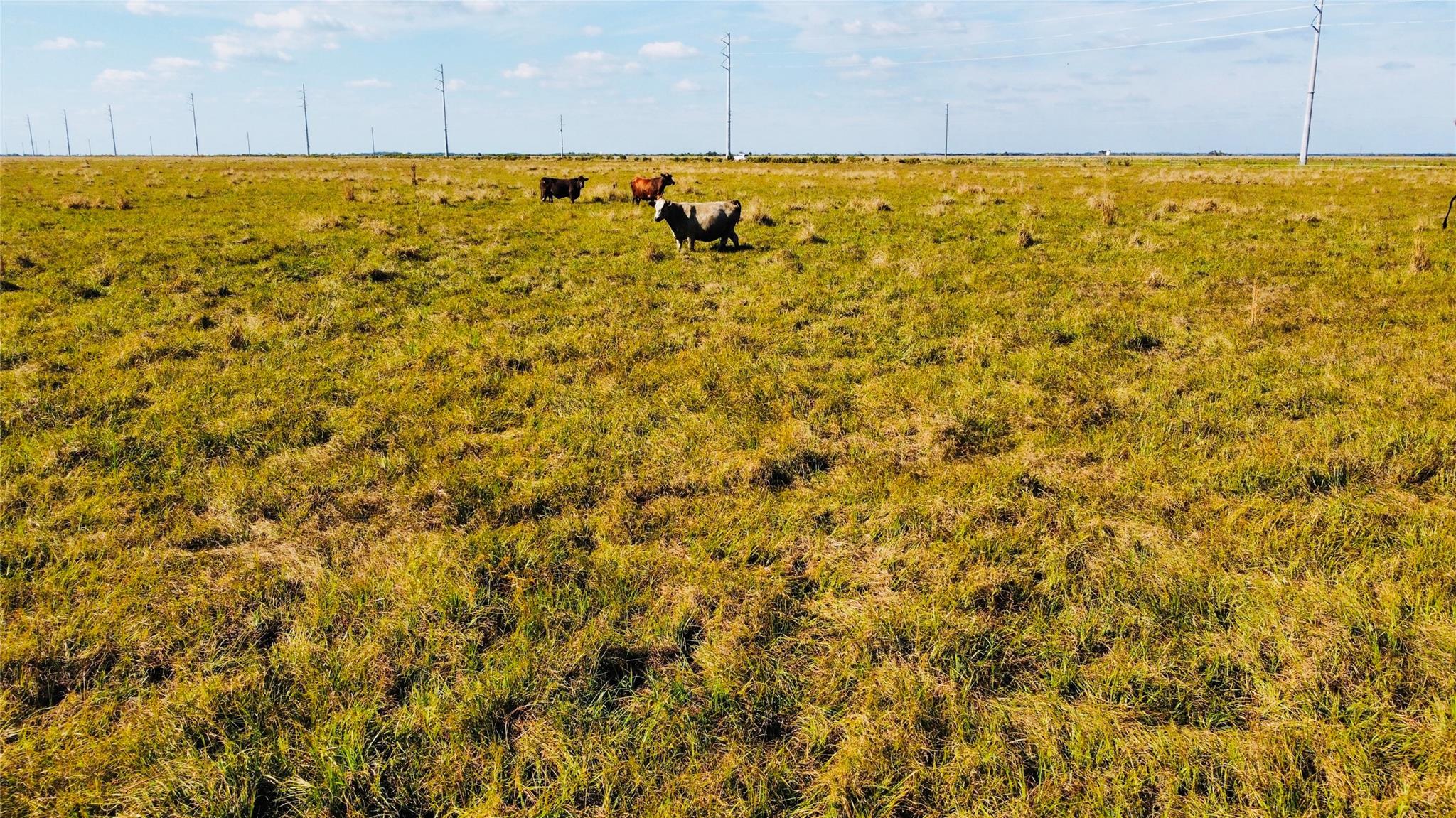 HWY 441N Highway 441n Highway 441, Okeechobee, FL 34972