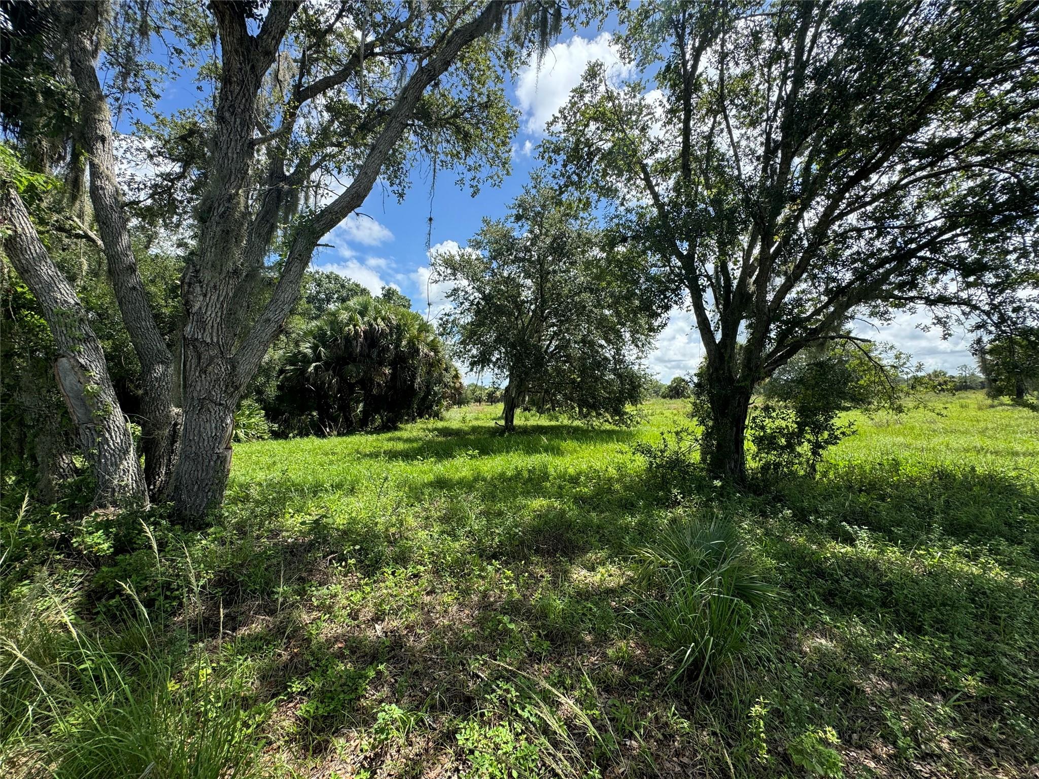 tbd Tbd Cr 832, Clewiston, FL 33440