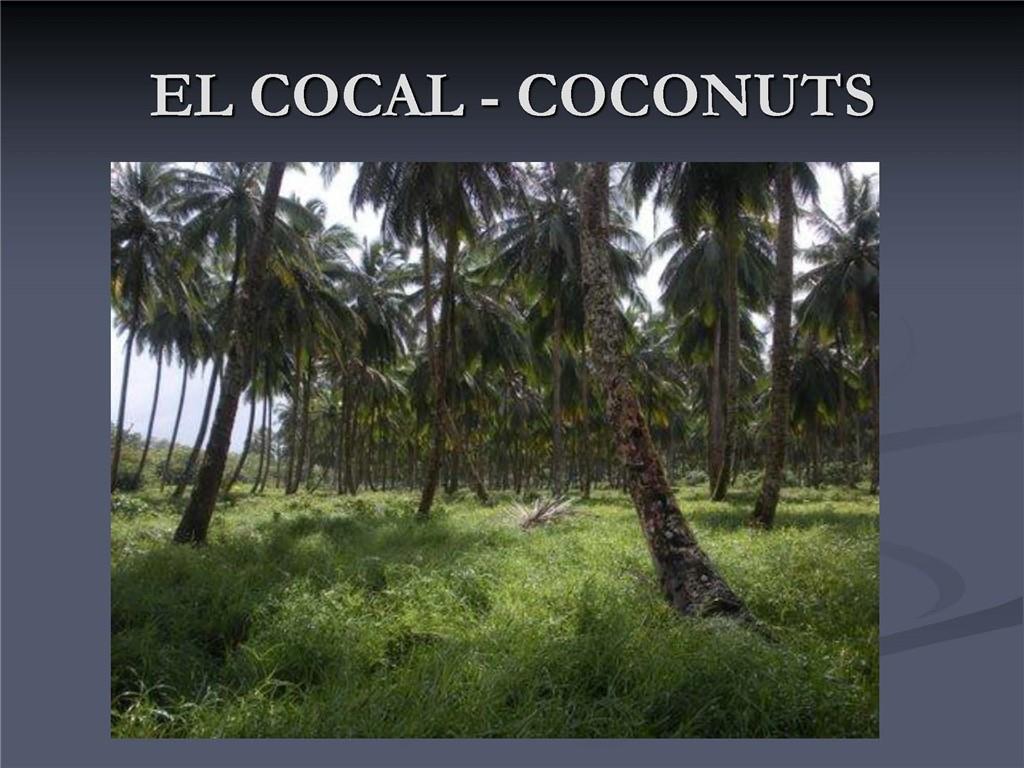 1001 Indian River, Other Fl City,