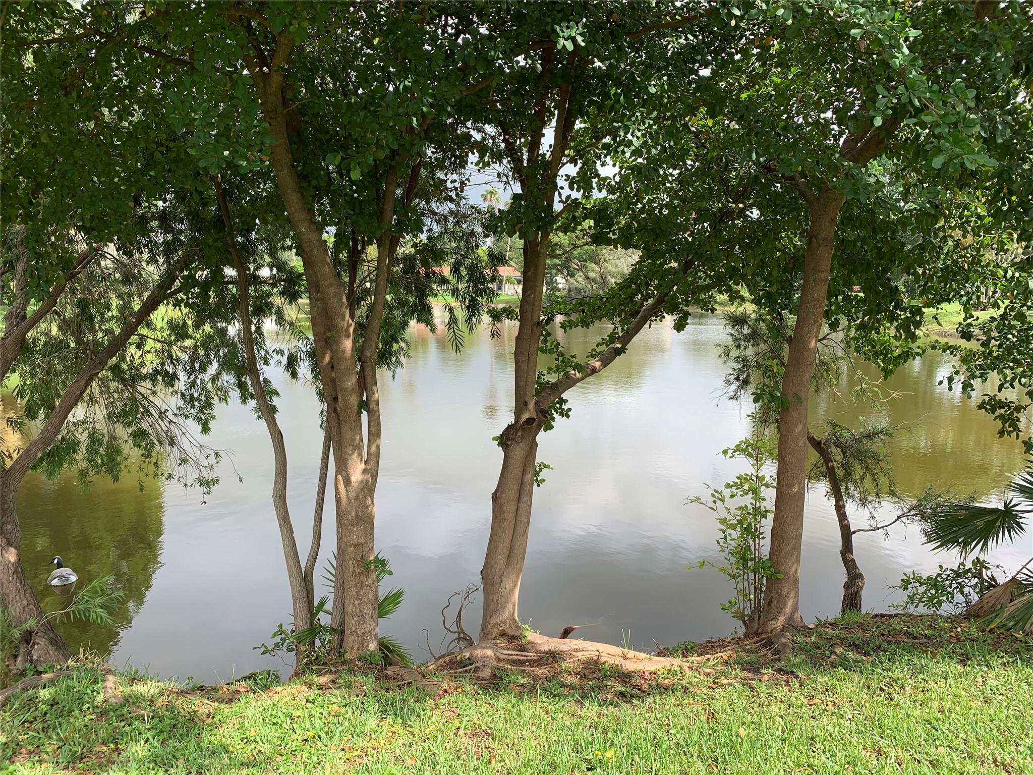 3980 NW 114th Avenue, Coral Springs, FL 33065