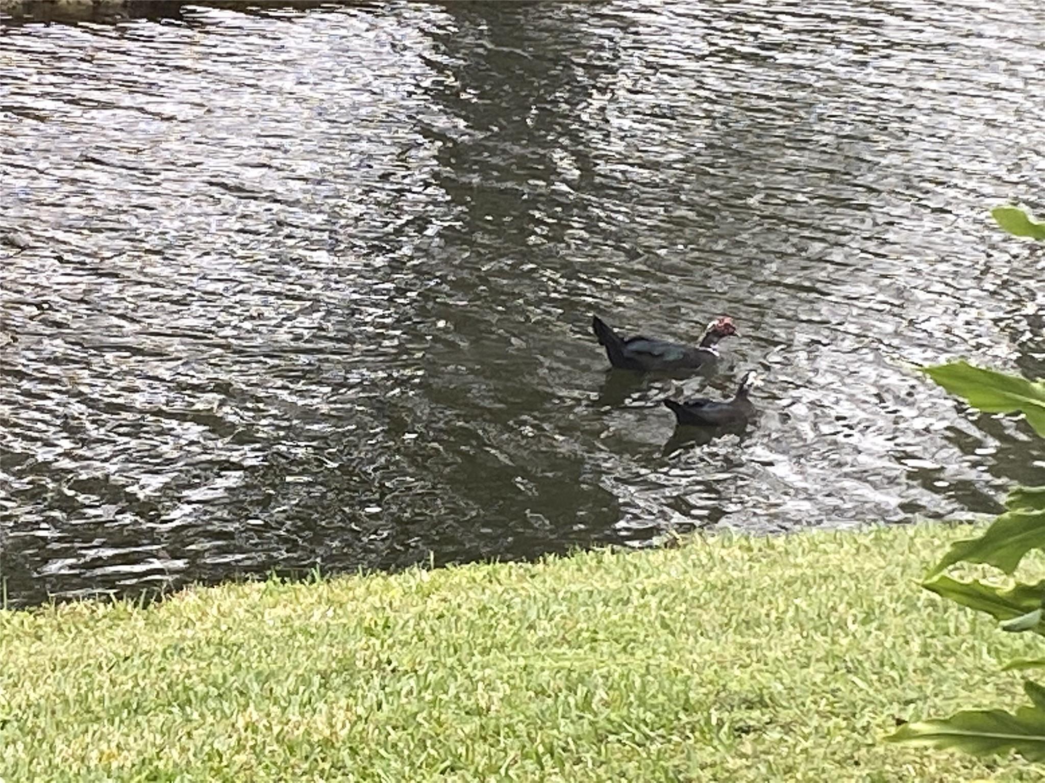 1668 Cypress Pointe Drive 1668, Coral Springs, FL 33071