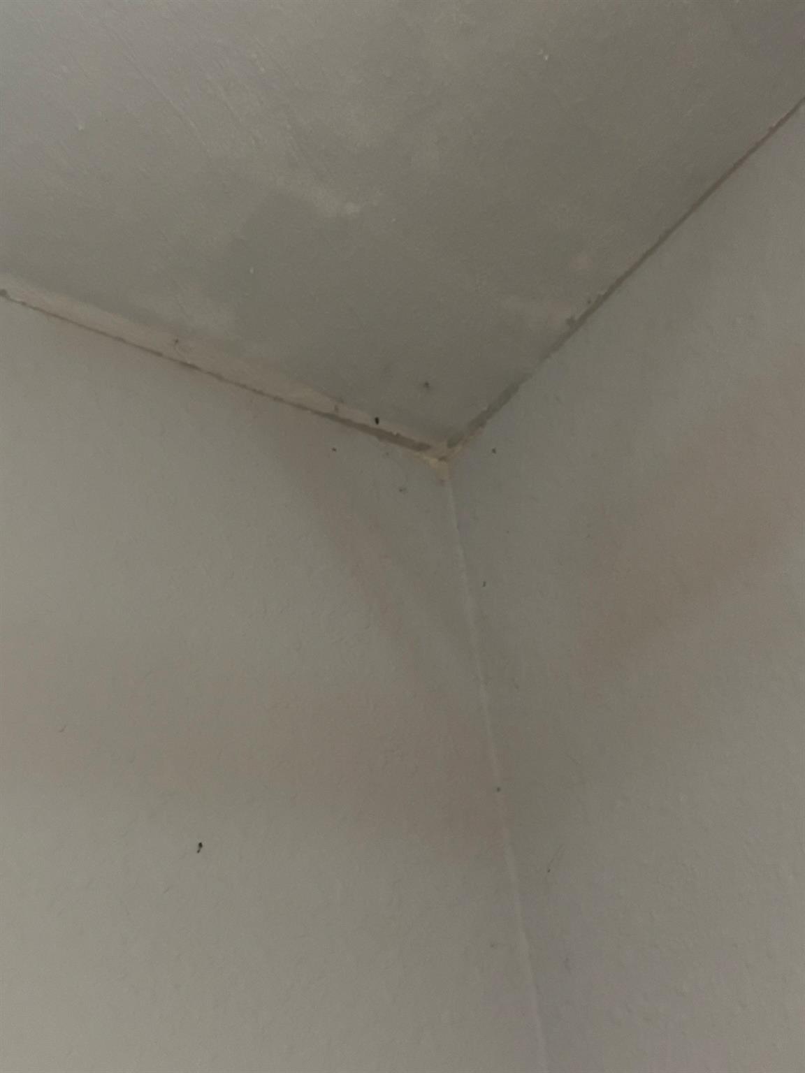 9746 NW 35th Street, Coral Springs, FL 33065