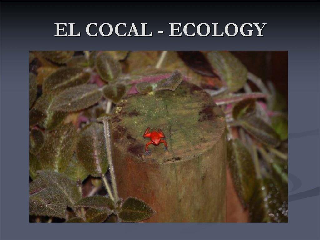 1001 Indian River, Other Fl City,