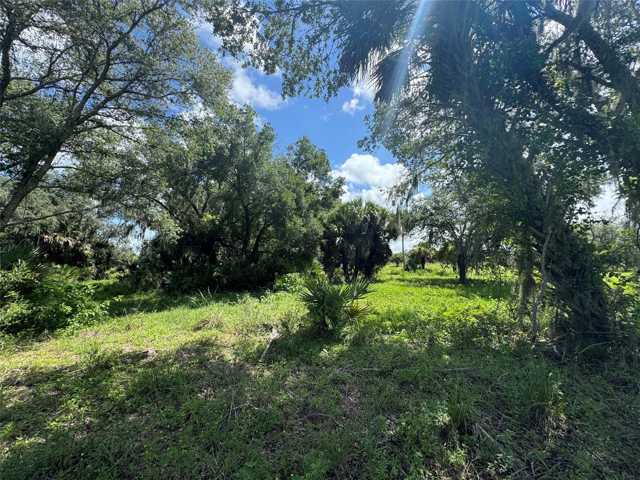 tbd Tbd Cr 832, Clewiston, FL 33440