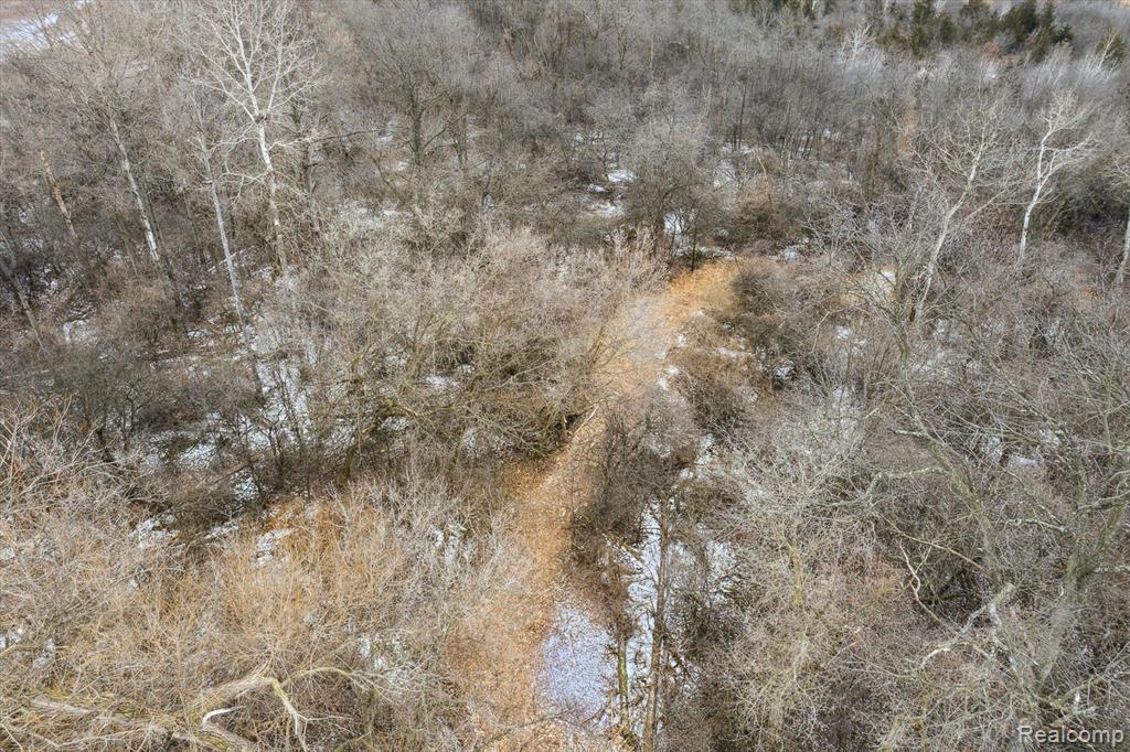 V/L BLAKE Road, Jackson, MI 49201 — Photo 47