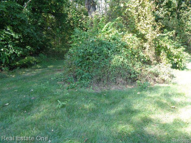17201 TRINITY Street, Detroit, MI 48219 — Photo 4