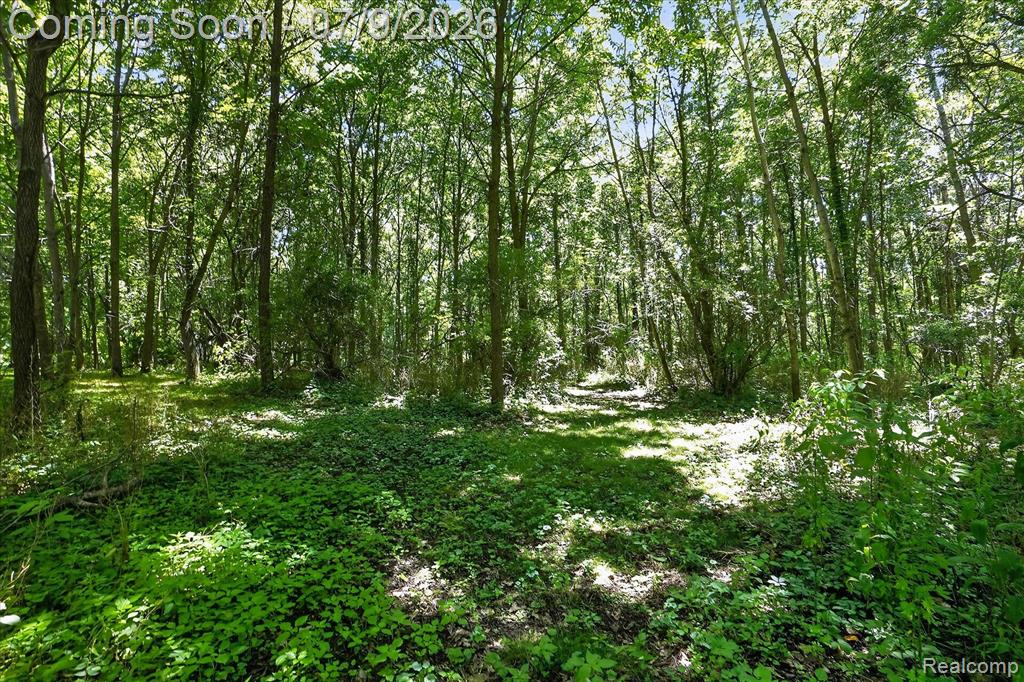 7071 W Grand River Road, Fowlerville, MI 48836 — Photo 56