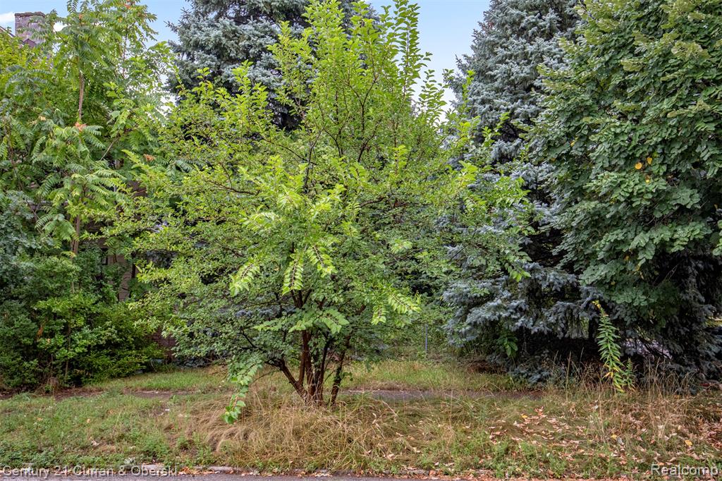 Search Homes for Sale