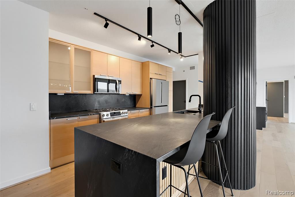 432 S Washington Avenue, 1404, Royal Oak, MI 48067 — Photo 15