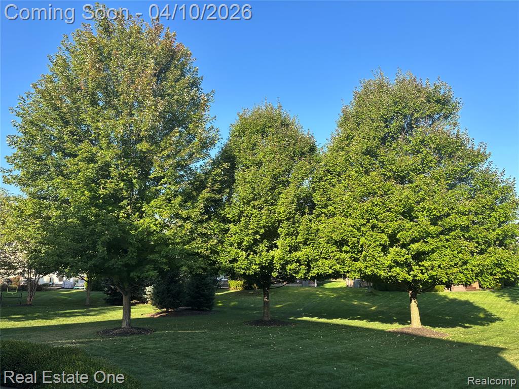 5947 Strawberry Circle, Commerce Twp, MI 48382 — Photo 69