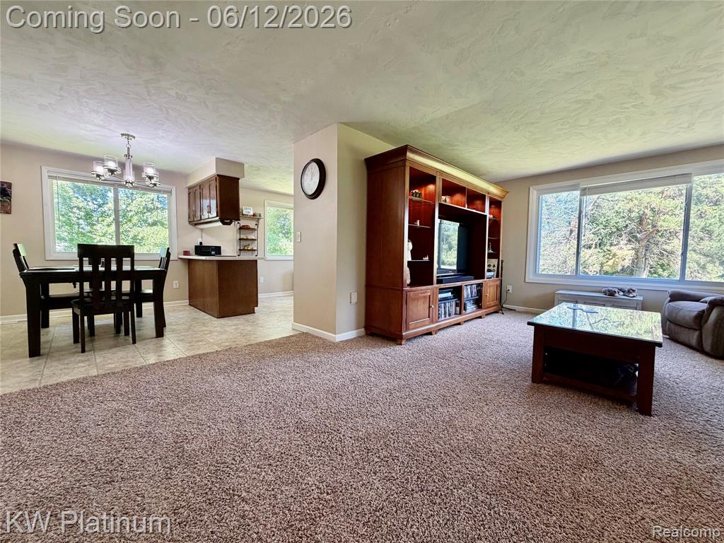 4059 Galbraith Line Road, Croswell, MI 48422 — Photo 6