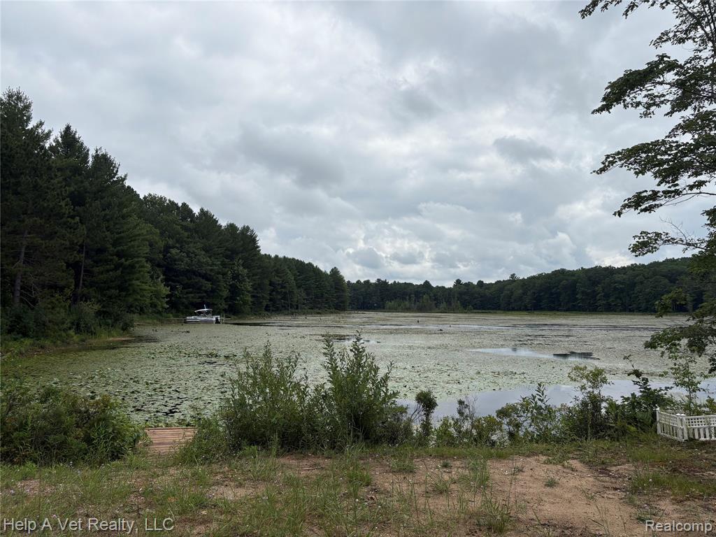 10340 Mud Lake Road, Interlochen, MI 49643 — Photo 13