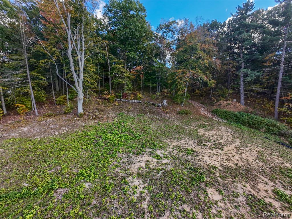 4720 Brunk Drive, Otter Lake, MI 48464 — Photo 7