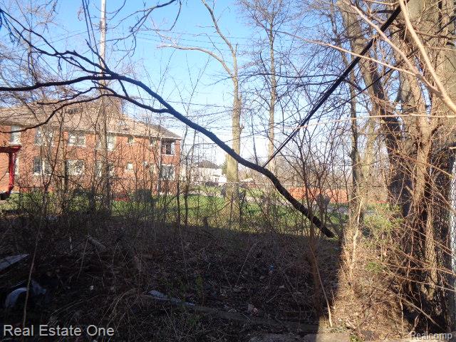 9928 Belleterre Street, Detroit, MI 48204 — Photo 20