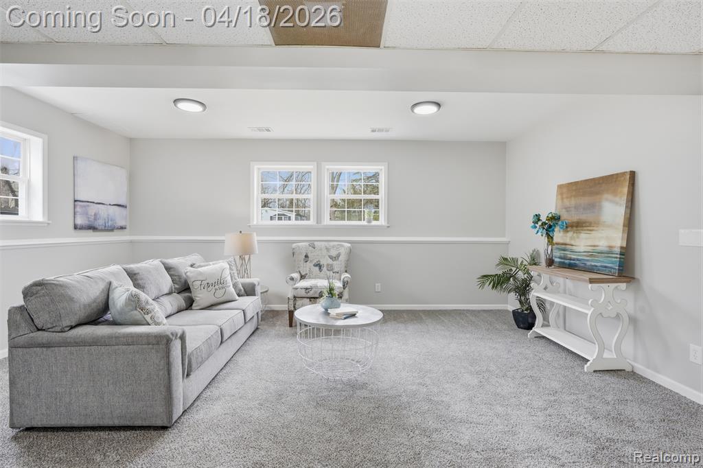 118 Gale Street, Morrice, MI 48857 — Photo 22