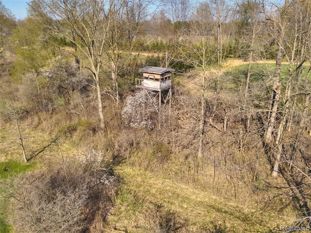 5785 Layton Road, Fowlerville, MI 48836 — Photo 72
