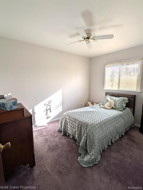 9264 CHAMBERLAIN Street, Romulus, MI 48174 — Photo 13