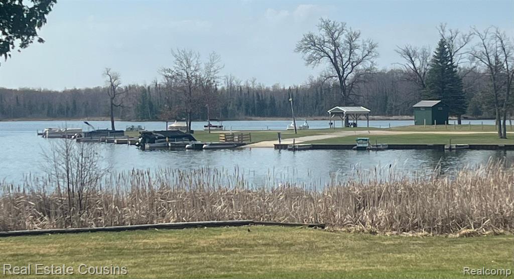 6214 Larch Trail, Lake, MI 48632 — Photo 11
