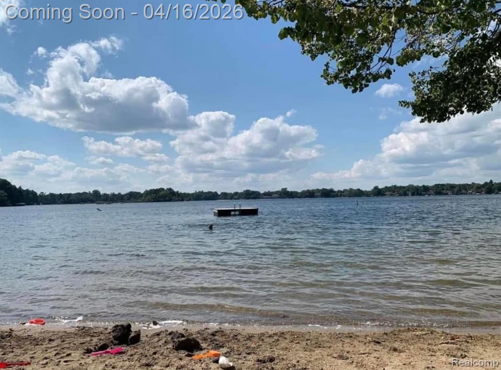 3363 Blasser Drive, Lake Orion, MI — Photo 49