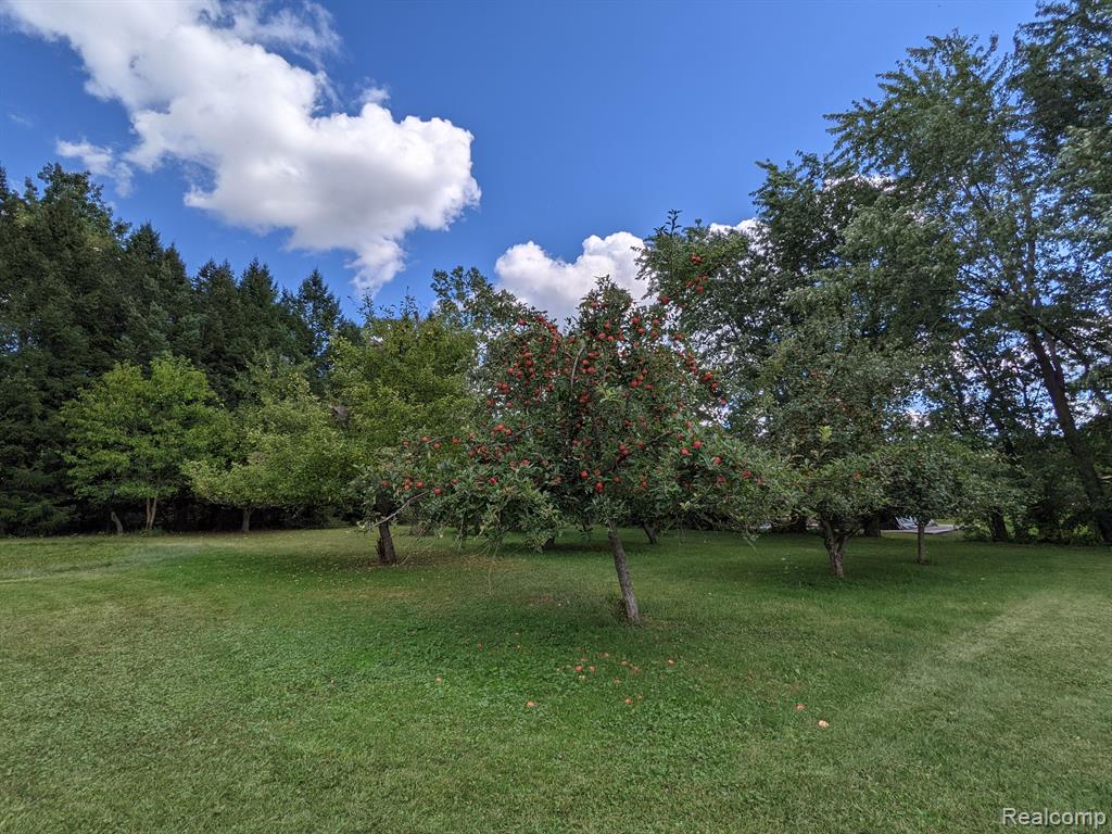 370 N YOUNGS Road, Attica, MI 48412 — Photo 23