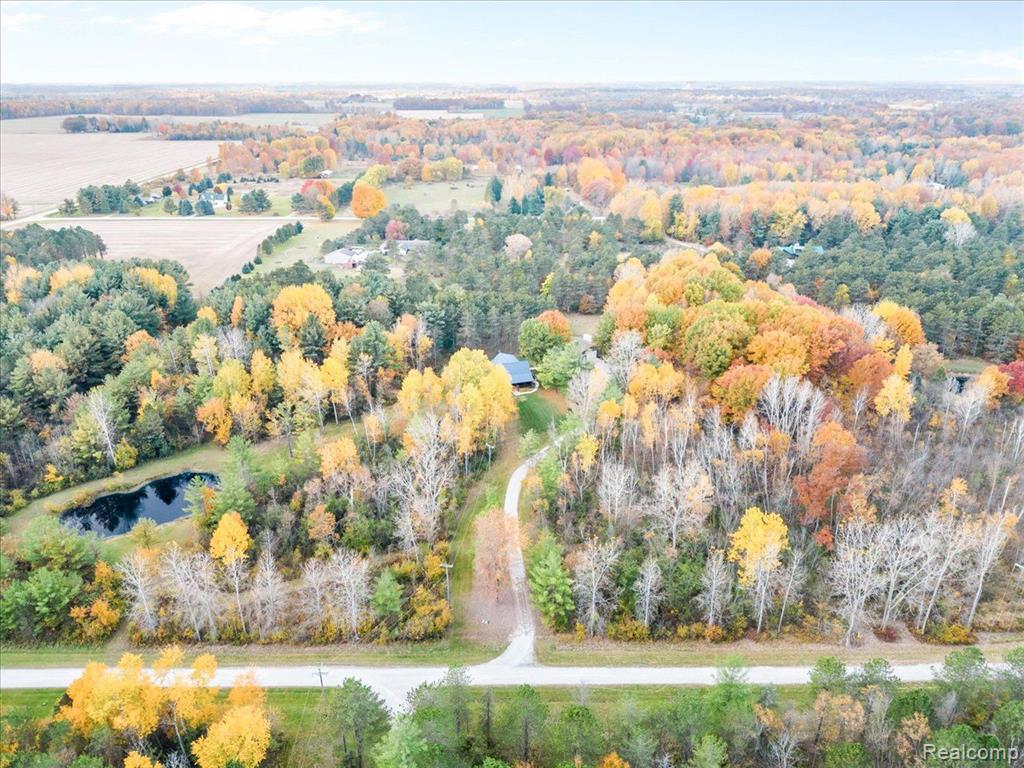6613 BLACK RIVER Drive, Grant, MI 48032 — Photo 42