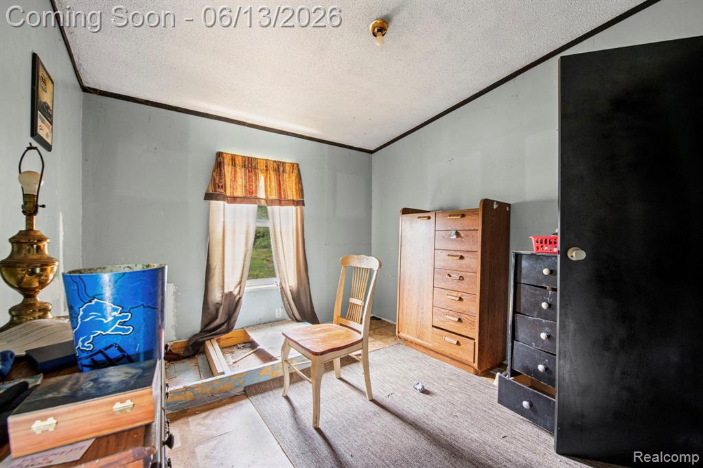 51105 Arkona Road, Belleville, MI 48111 — Photo 12