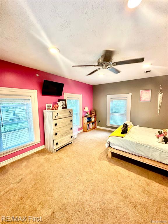301 BRISTOL Street S, Almont, MI 48003 — Photo 24