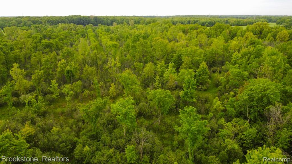Vacant Land 30 Mile Road, Lenox, MI 48050 — Photo 15