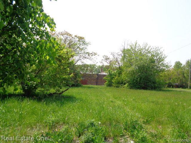 1051 CONCORD Street, Detroit, MI 48207 — Photo 3
