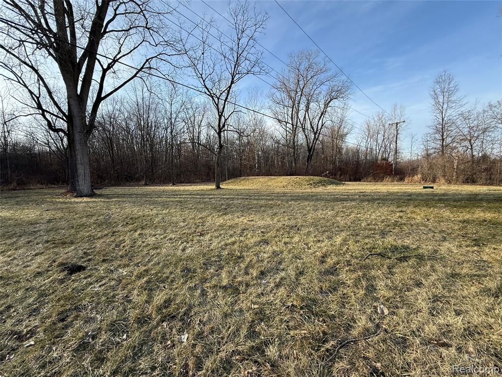 26020 Martinsville Road, Belleville, MI 48111 — Photo 47