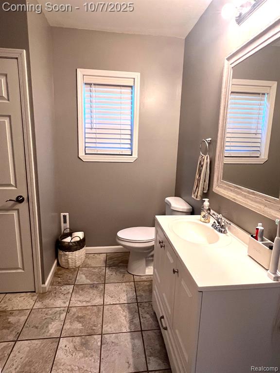 368 Green Street, Perry, MI 48872 — Photo 12