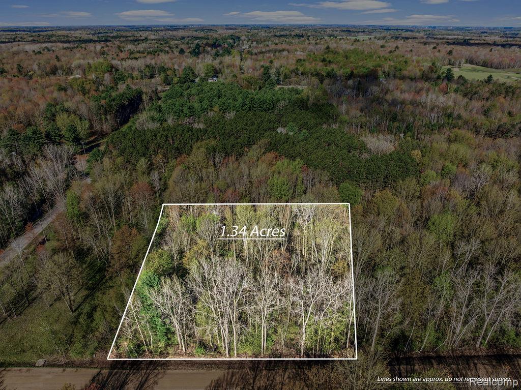 #AAA V/L Maplegrove Lane, Vassar, MI 48768 — front exterior